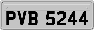PVB5244