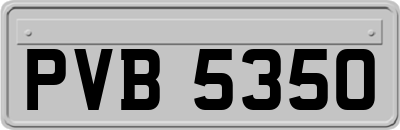 PVB5350