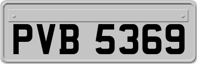 PVB5369