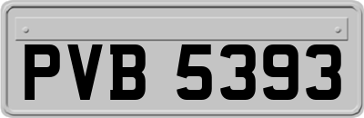PVB5393