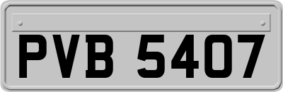 PVB5407