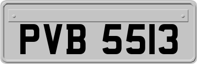 PVB5513