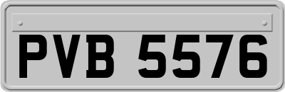PVB5576