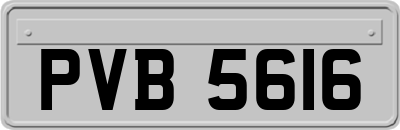 PVB5616