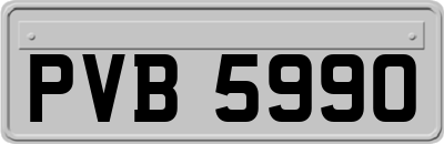 PVB5990