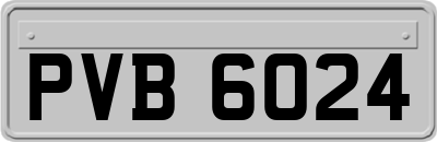 PVB6024