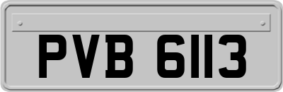 PVB6113