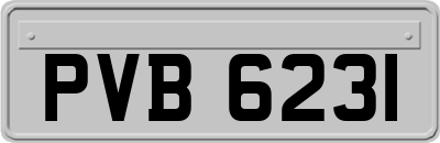 PVB6231