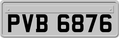 PVB6876
