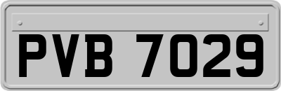 PVB7029
