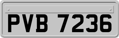 PVB7236