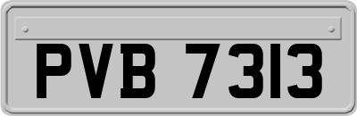 PVB7313