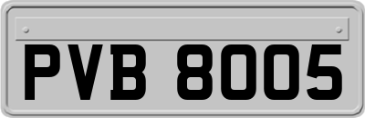 PVB8005