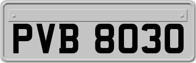 PVB8030