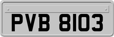 PVB8103