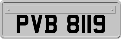 PVB8119