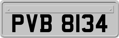 PVB8134