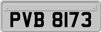 PVB8173