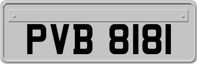 PVB8181