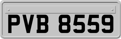 PVB8559
