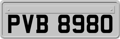 PVB8980