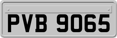 PVB9065