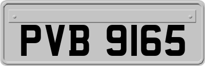 PVB9165