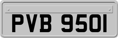 PVB9501