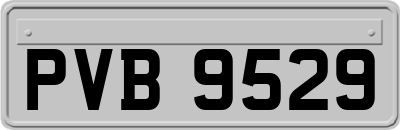 PVB9529