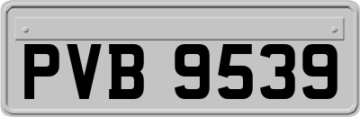 PVB9539