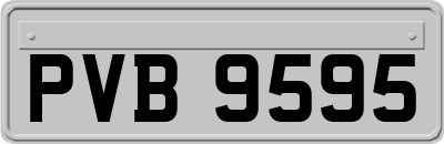 PVB9595