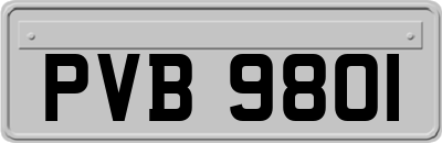 PVB9801