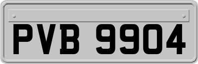 PVB9904