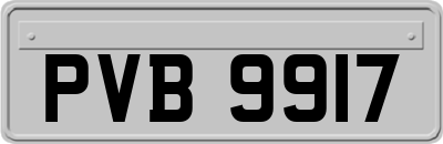 PVB9917