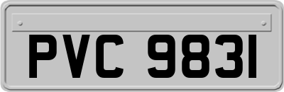 PVC9831