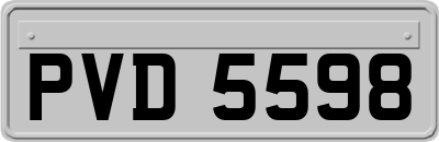 PVD5598