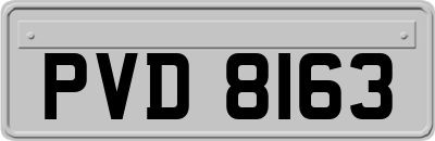 PVD8163