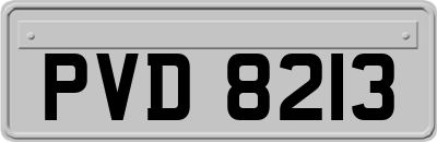 PVD8213