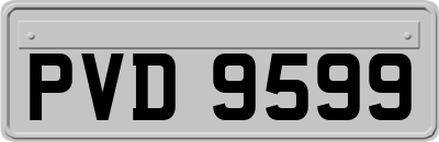 PVD9599