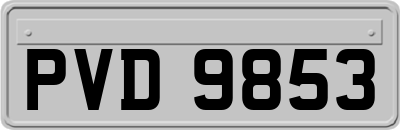 PVD9853
