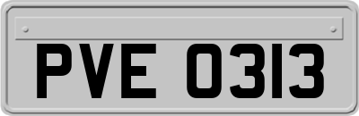 PVE0313