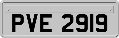 PVE2919