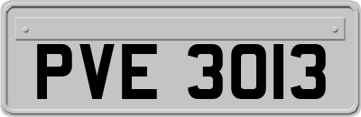 PVE3013
