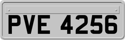 PVE4256