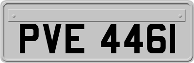 PVE4461