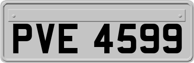 PVE4599