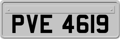 PVE4619