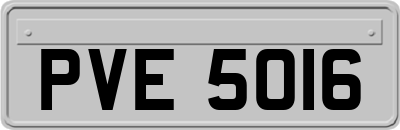 PVE5016