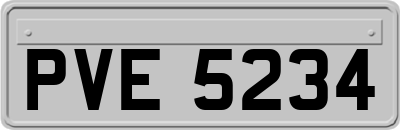 PVE5234