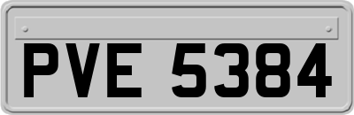 PVE5384